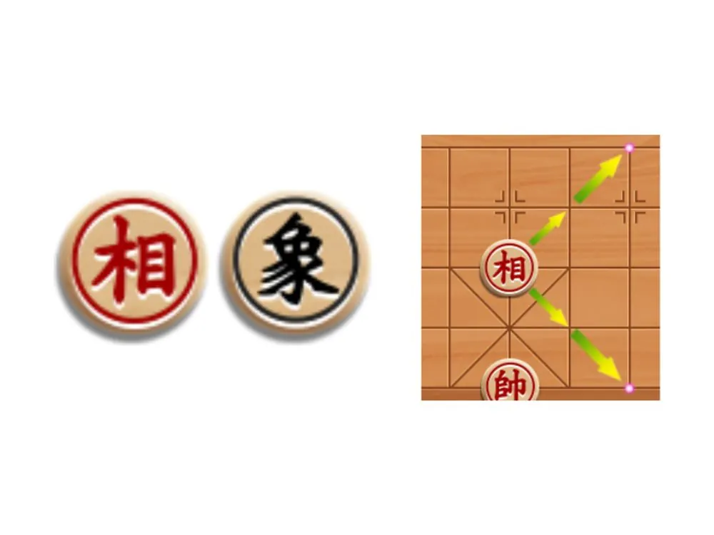 Tượng (象/相)
