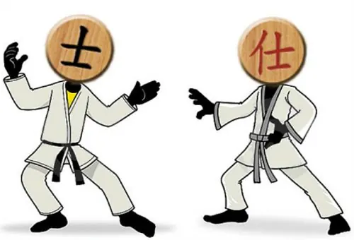 Quân sĩ trong cờ tướng - Ý nghĩa & Những thông tin liên quan